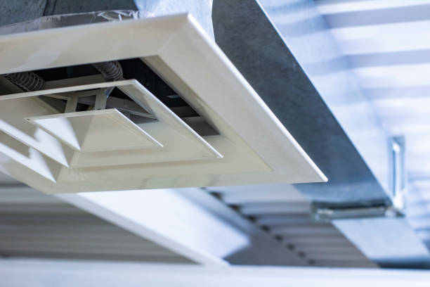 Best Affordable HVAC Duct Cleaning  in Fox Lake Hls, IL