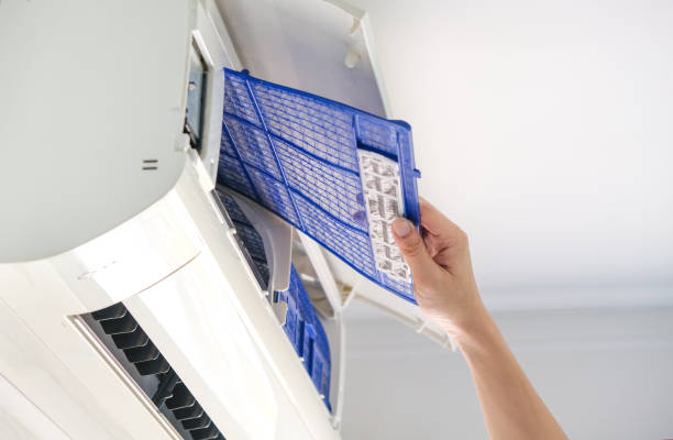 Best Affordable Air Duct Cleaning  in Fox Lake Hls, IL